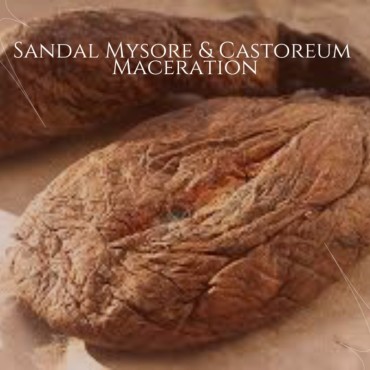 Sandal mysore &castoreum maceration 