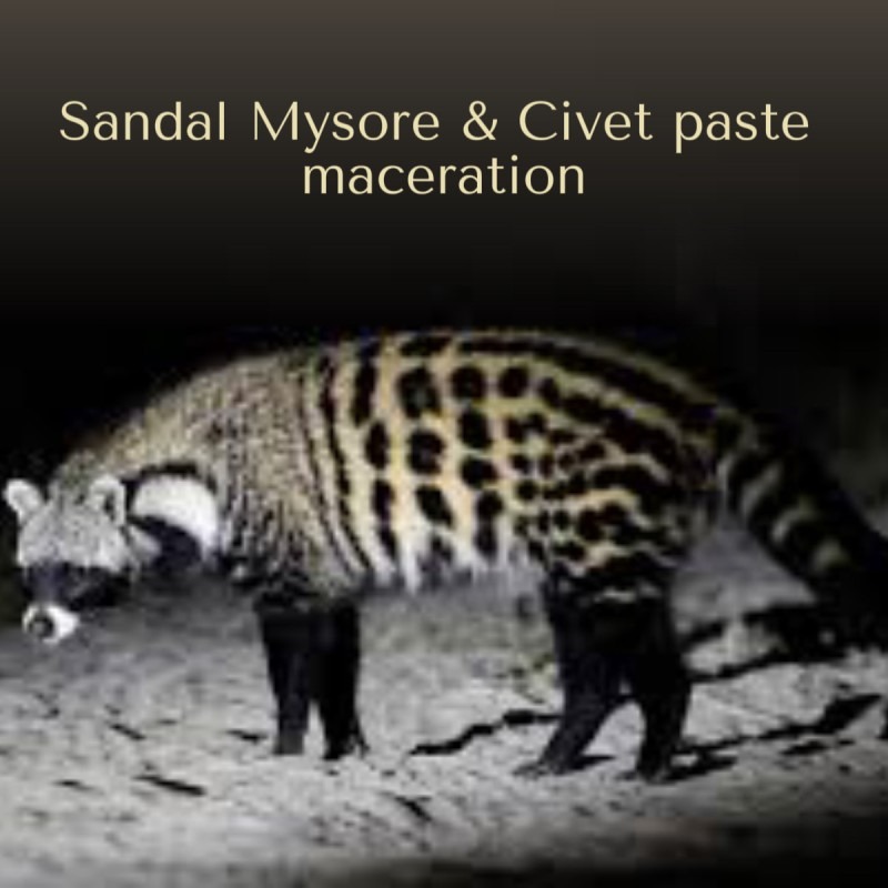 Sandal Mysore & Civet paste Maceration