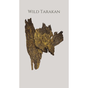 Wild Tarakan