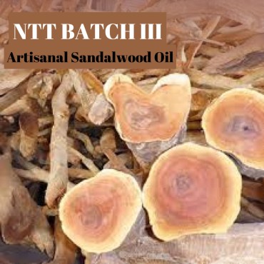 NTT SANDALWOOD OIL BATCH III