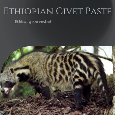 Ethiopian Civet Paste
