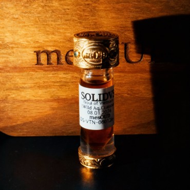 SOLIDVS (Soul of Vietnam)